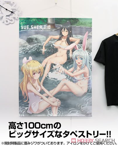 ありふれた職業で世界最強 ユエ＆シア＆ティオ 100cmタペストリー (キャラクターグッズ) その他の画像1