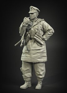 Waffen-SS Anorakanzug Officer No.1 (Plastic model)