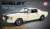 Shelby GT350R Street Fighter (ミニカー) その他の画像1
