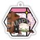 えふぉるめ 鬼滅の刃 ふとんむしアクリルボールチェーン (6個セット) (キャラクターグッズ) 商品画像2 サムネイル