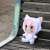 Hatsune Miku Series Plush Souno Cat Party Megurine Luka (Anime Toy) Other picture3