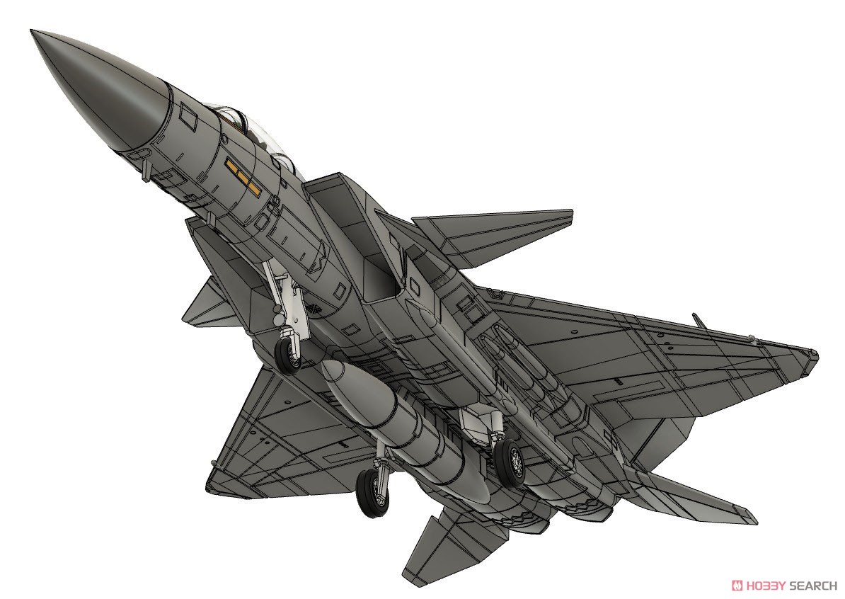 F-15 Kai Eagleplus (Plastic model) Other picture19