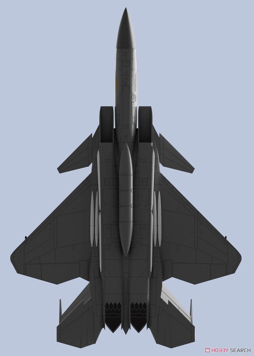 F-15改イーグルプラス (プラモデル) その他の画像15