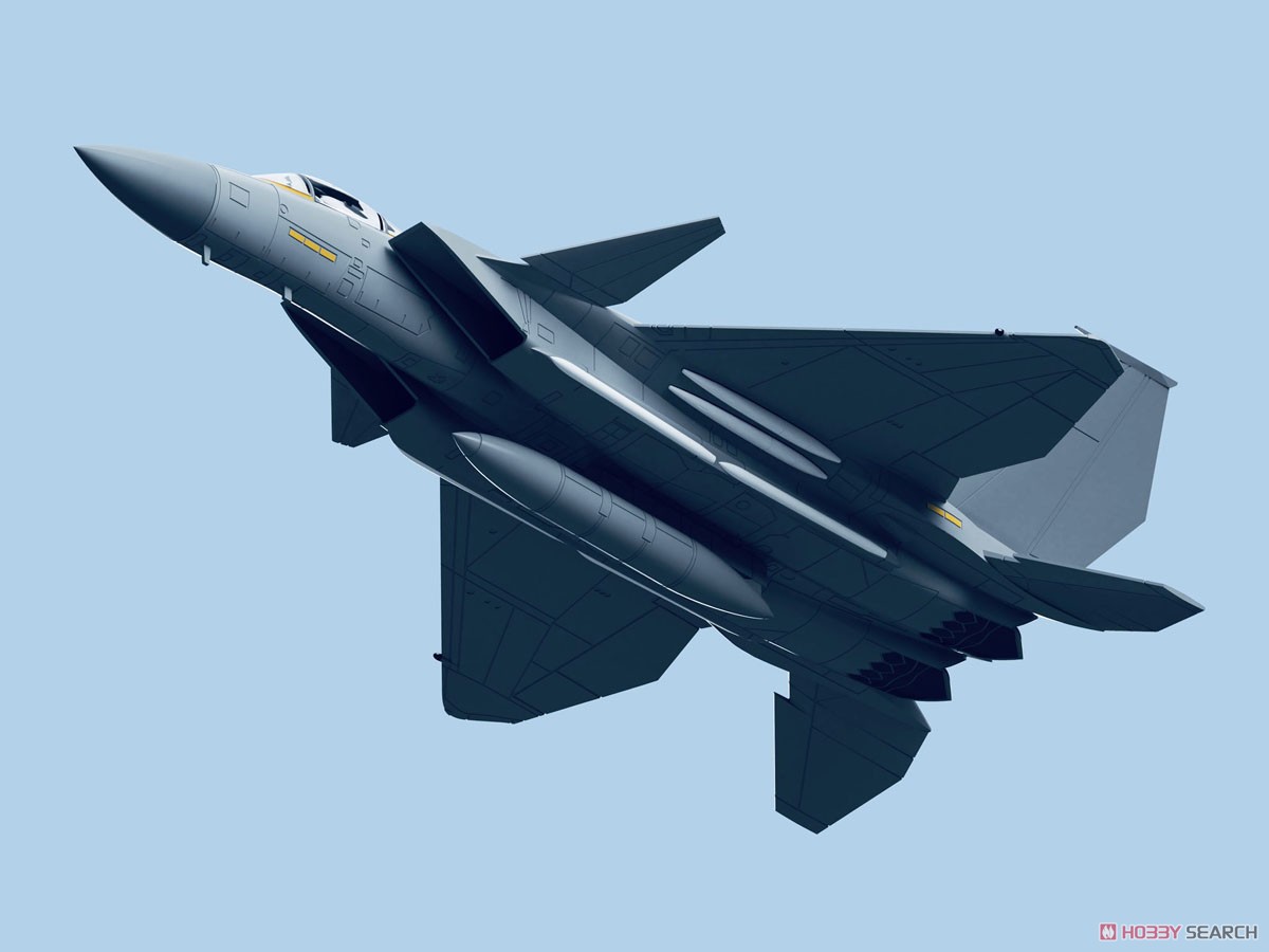 F-15改イーグルプラス (プラモデル) その他の画像14