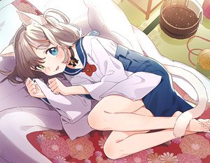 Neco Gurashi F6 Canvas Shiro-neco (Anime Toy)