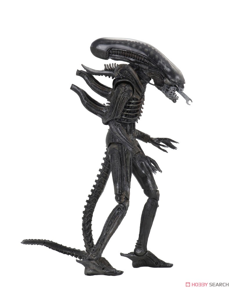 Alien 40th Anniversary/ 7 inch Action Figure Series 3 (Set of 3) (Completed) 商品画像4