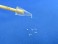 A-Pick & Cleaning Petach B Set (Hobby Tool) その他の画像3 Thumbnail