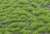 Static Grass 2mm Tufts Spring (Plastic model) Item picture4