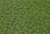 Static Grass 2mm Tufts Weeds Summer (Plastic model) Item picture3