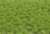 Static Grass 6mm Tufts Spring (Plastic model) Item picture3