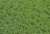 Static Grass 6mm Tufts Weeds Summer (Plastic model) Item picture3