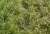 Static Grass 6mm Tufts Weeds Last Summer (Plastic model) Item picture4