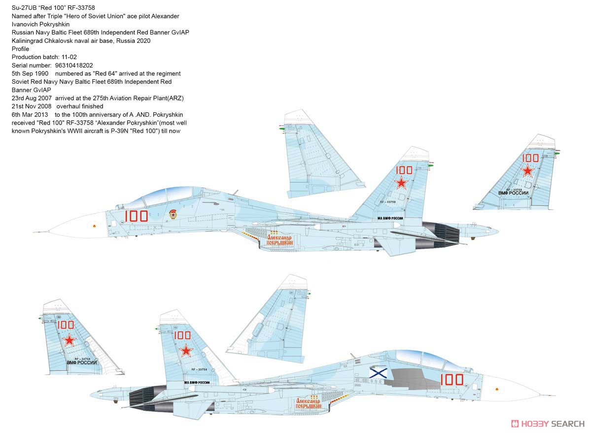 Su-27UB フランカーC (プラモデル) 塗装1