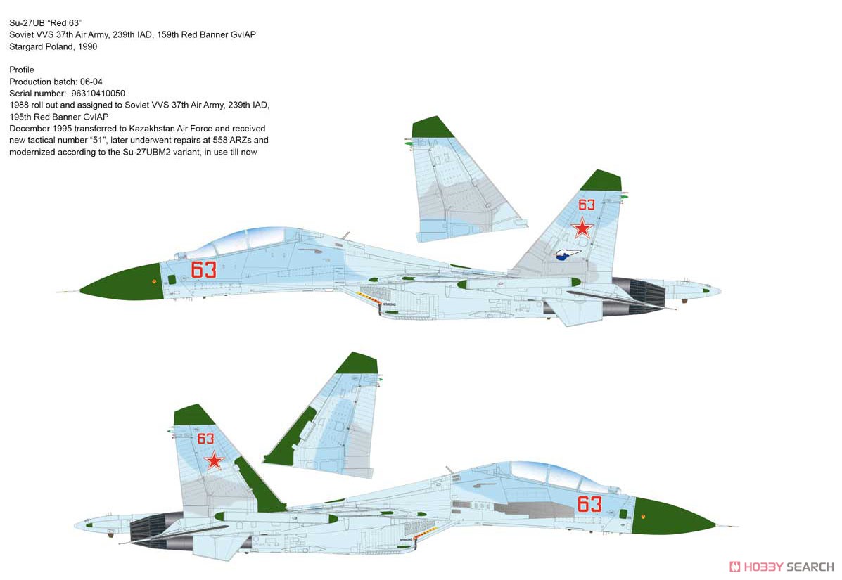 Su-27UB フランカーC (プラモデル) 塗装2