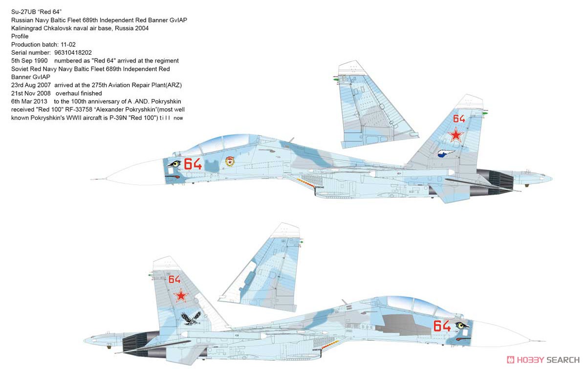 Su-27UB フランカーC (プラモデル) 塗装3