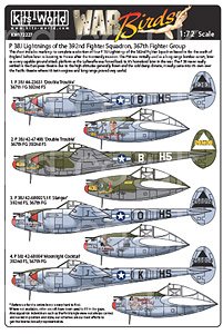 WW.II アメリカ軍 P-38J ライトニングス (デカール)