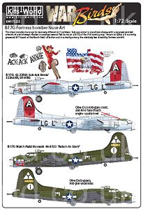 Boeing B-17G Flying Fortress Decal Set 1 (Decal)