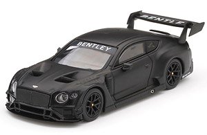 Bentley Continental GT3 Test Car (RHD) (Diecast Car)