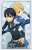 Bushiroad Sleeve Collection HG Vol.2609 Sword Art Online Alicization [Kirito & Eugeo] (Card Sleeve) Item picture1