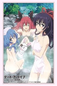 Bushiroad Sleeve Collection HG Vol.2612 Date A Live [Tohka & Origami & Yoshino] (Card Sleeve)
