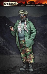 Afghan Rebel Commander (3) (Plastic model)