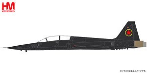 F-5F `MIG-28UB` (完成品飛行機)
