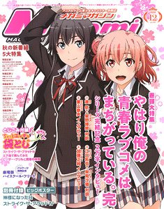 Megami Magazine 2020 December Vol.247 w/Bonus Item (Hobby Magazine)