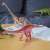 Diplodocus Vinyl Model (Animal Figure) Other picture1