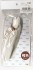 Head for Pureneemo (Tan) (Hair Color / Silver) (Fashion Doll) 商品画像3 Thumbnail