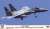 F-15C イーグル`日米安全保障条約60周年記念` (プラモデル) パッケージ1
