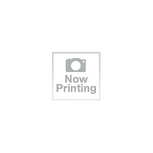 Demon Slayer: Kimetsu no Yaiba Merenge (Melamine Chinese Spoon) (Set of 6) (Anime Toy)