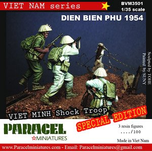 VM at Dien Bien Phu 1954 (Plastic model)