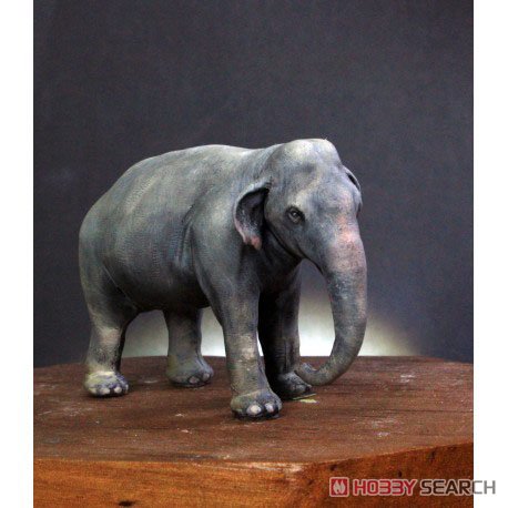 Asia Elephant A + B (Plastic model) 商品画像1