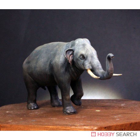 Asia Elephant A + B (Plastic model) 商品画像2