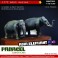 Asia Elephant A + B (Plastic model) パッケージ1 Thumbnail