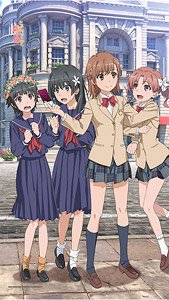 [A Certain Scientific Railgun T] Noren (Anime Toy)