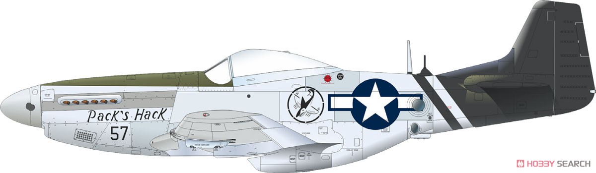 F-6D/K プロフィパック (プラモデル) 塗装3