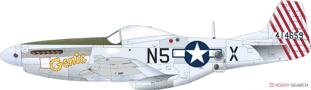 F-6D/K プロフィパック (プラモデル) 塗装5