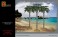 Palm Trees StyleA (Plastic model) パッケージ1 Thumbnail