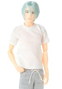 1/6 Men`s Picture Book B2010 Nine (Fashion Doll)