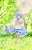 [Is the Order a Rabbit? Bloom] Chino Bloom Summer Dress Ver. w/Bonus Item (PVC Figure) Other picture6