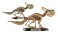 Dinosaur Master (Set of 10) (Shokugan) 商品画像5 Thumbnail