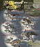 Dinosaur Master (Set of 10) (Shokugan) その他の画像1 Thumbnail