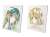 To Love-Ru Darkness Yui Kotegawa Ani-Art Canvas Board Vol.2 (Anime Toy) Other picture1