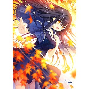 [Summer Pockets Reflection Blue] B2 Tapestry (Kamome Kushima / Autumn Leaves) (Anime Toy)