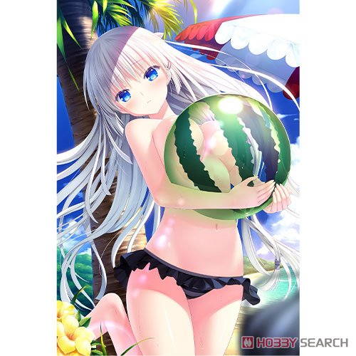 [Summer Pockets Reflection Blue] Pillow Cover (Shiroha Naruse / Swimsuit) (Anime Toy) Item picture3