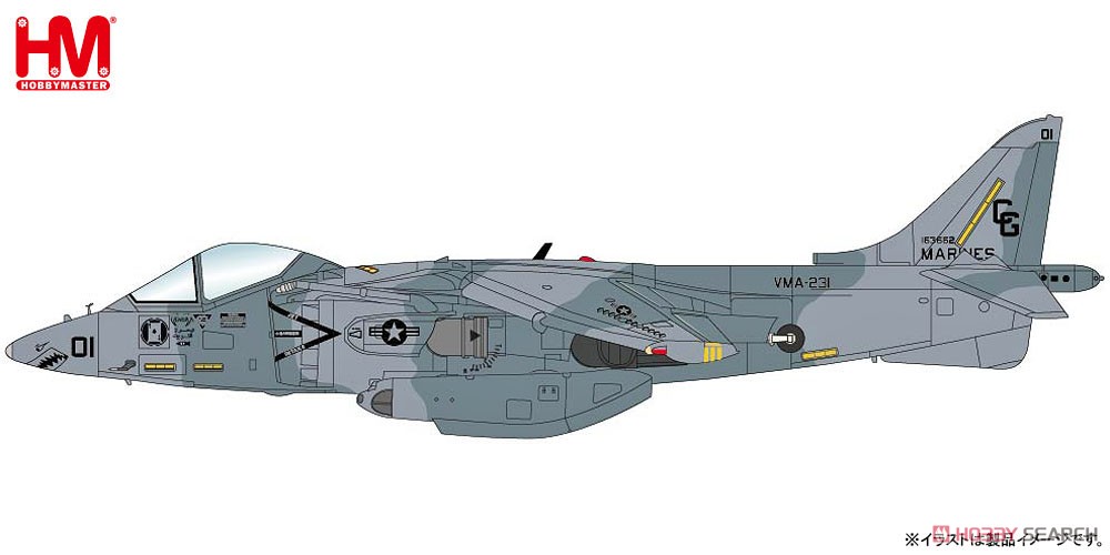 AV-8B ハリアーII `VMA-231 サウジアラビア 1991` (完成品飛行機) その他の画像1