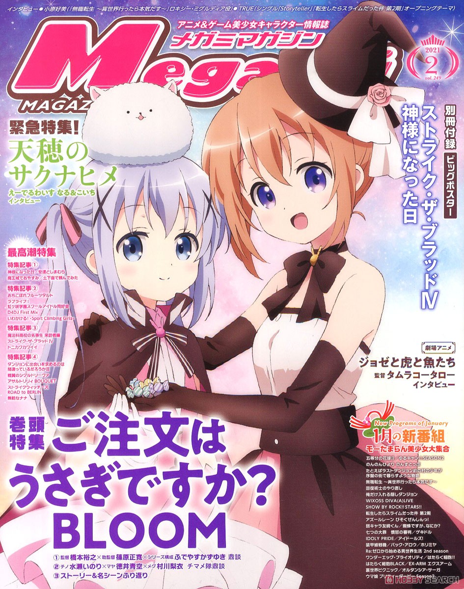 Megami Magazine(メガミマガジン) 2021年2月号 Vol.249 ※付録付 (雑誌) 商品画像1