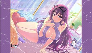 [シノビマスター 閃乱カグラ NEW LINK] シーツ (紫) (キャラクターグッズ)