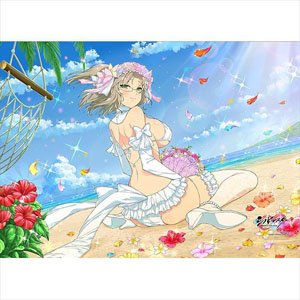 [シノビマスター 閃乱カグラ NEW LINK] B2タペストリー (忌夢/Wedding) (キャラクターグッズ)